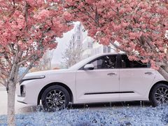 -莱阳濯村樱花园