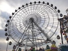 -洋湖国家湿地公园