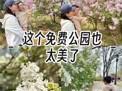 -玲珑塔公园