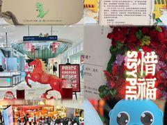-鹏欣水游城