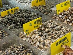 -舌尖上·霞浦滩涂海鲜·新闽菜(总店)