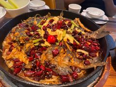 -老板恋上鱼(印象城店)