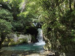 -小八仙·宴(三峡茶庄店)