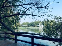 -东湖落雁景区
