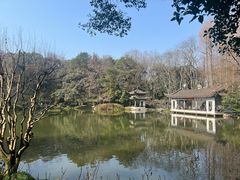-杭州植物园
