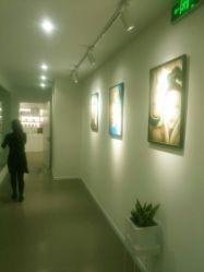 -様共享美容连锁机构