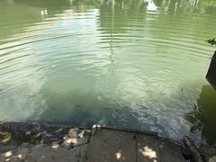 -晓琦农家菜馆·地道农家菜