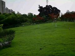 -龙头寺公园