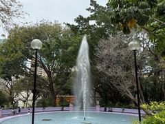 -九龙公园