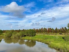 -上海崇明金茂凯悦酒店