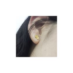 -花师傅