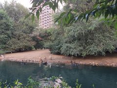 -长白岛森林公园