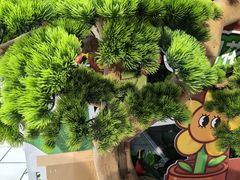 -大润发(王庄店)