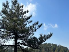 -四明山国家森林公园