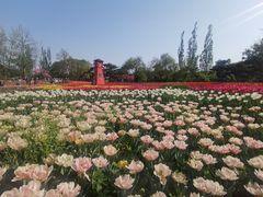 -国家植物园南园