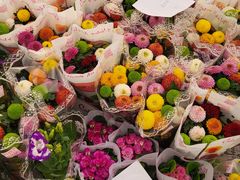 -龙大花卉苗木市场