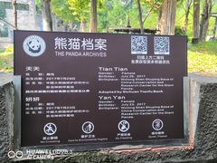 -都江堰中华大熊猫苑