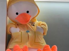 -春润大地海南椰子鸡(沙井京基百纳广场店)