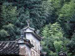 -杨家堂村