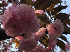 -苏州河梦清园环保主题公园