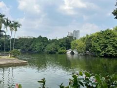 -荔湾湖公园