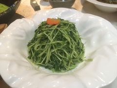 清炒豌豆苗-汉唐宴长安食府