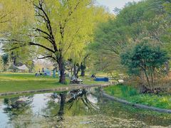 -上海共青森林公园