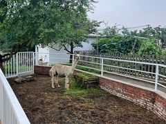 -丽泽山庄·生态怀柔菜·虹鳟鱼(红螺寺店)