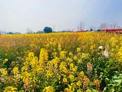 -中国天府农业博览园