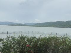-湖畔居茶楼(湖滨店)