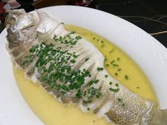 -沈灶河豚宴·河豚融合餐厅(汉中路店)