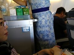 -全日本空输株式会社(上海办事处)