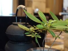 -上海漕河泾万丽酒店