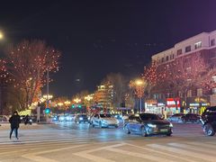 -长春市南湖公园