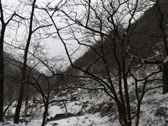 -抱龙峪
