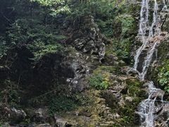 -永州阳明山国家森林公园