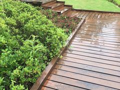 -昆山城市生态森林公园