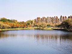 -太阳岛度假酒店