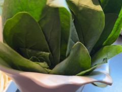 -南门四季铜锅涮肉(大屯·北苑店)