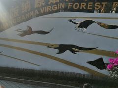 -西双版纳原始森林公园