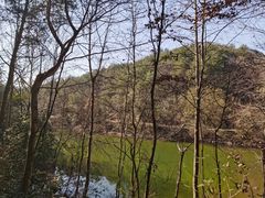 -青龙山国家森林公园