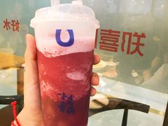 -春丽小马(济南恒隆广场店)