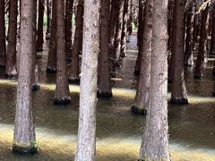 -捞渔河湿地公园