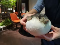 -肆月河豚·淮扬菜·湘菜(华天店)