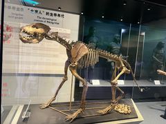 -北京周口店北京人遗址博物馆