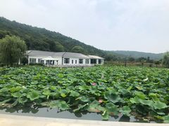 -龙寺生态园