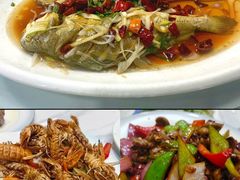 -来之顺海鲜菜馆·青岛菜·始于1993(栈桥店)