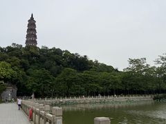 -顺峰山公园
