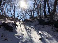 -灵山