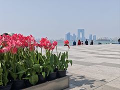 -金鸡湖景区